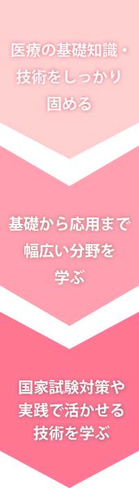 カリキュラム