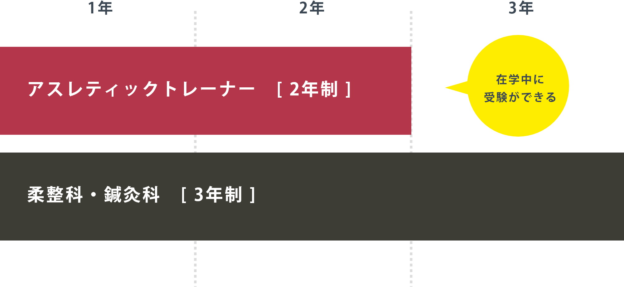 学びのスケジュール